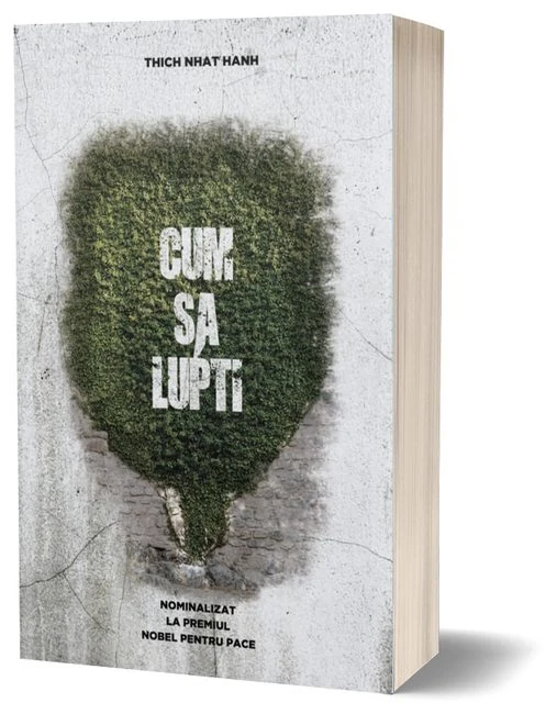 Cum să lupți — cover concept 1