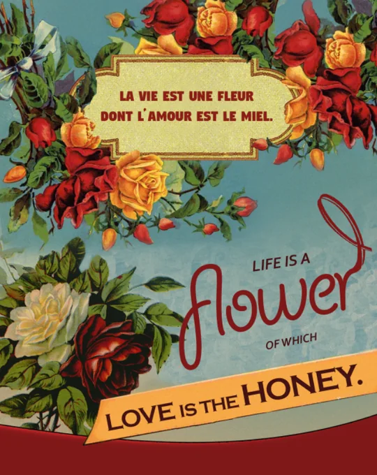 Floral vintage poster — La vie est une fleur