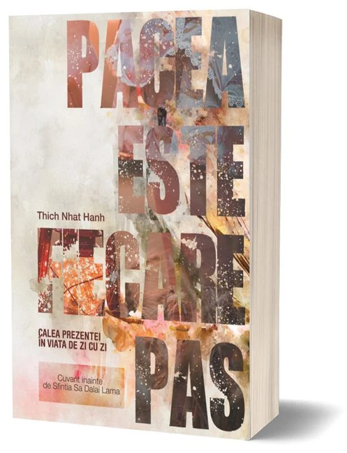 Pacea este fiecare pas — cover concept 2