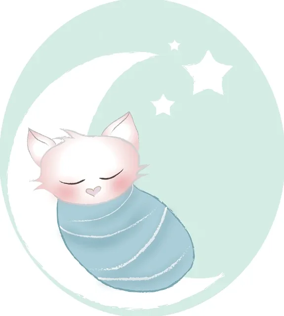 Sleepy Cat